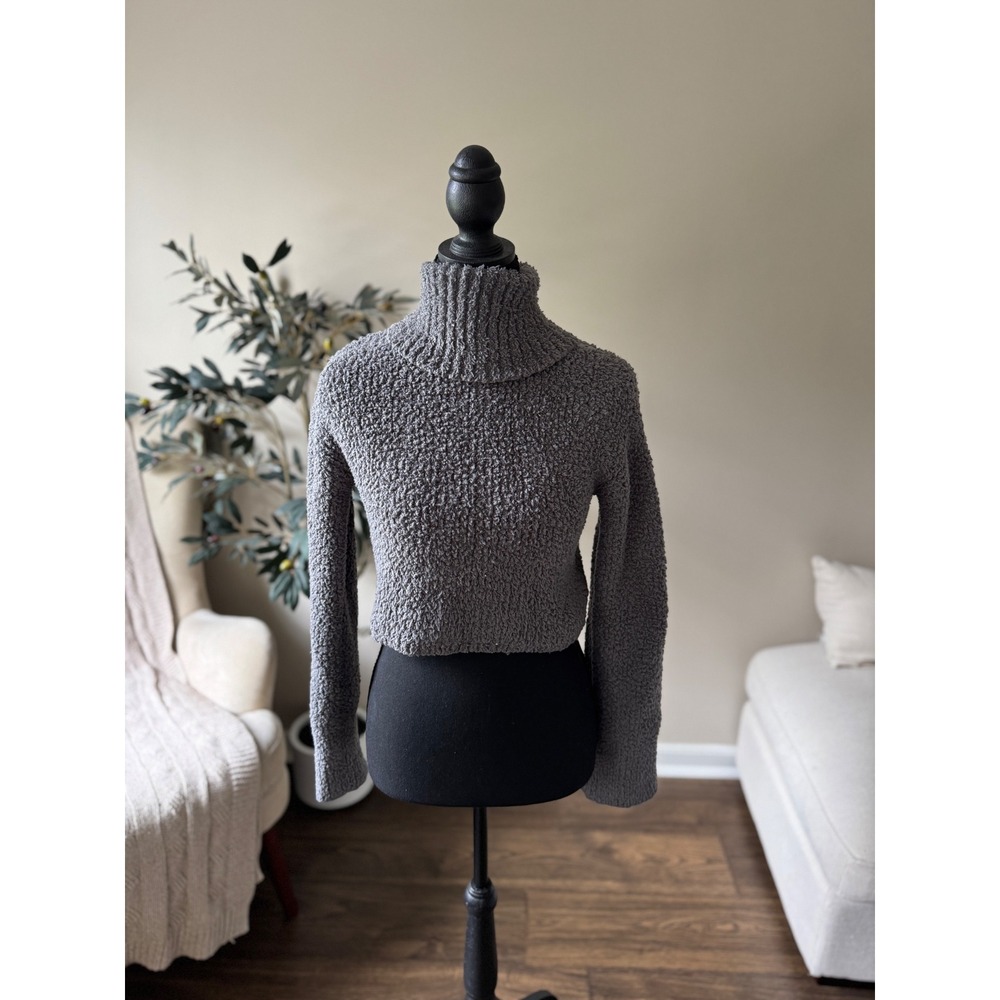 Aerie Womens Gray Popcorn Knit Cropped Turtleneck Sweater Size XS